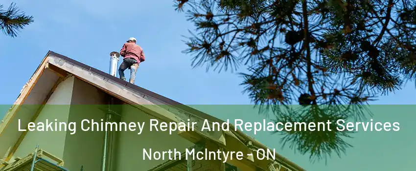 Leaking Chimney Repair And Replacement Services North McIntyre - ON