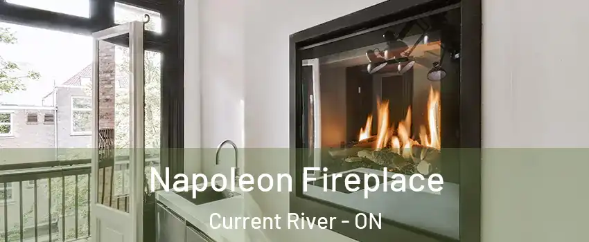  Napoleon Fireplace Current River - ON