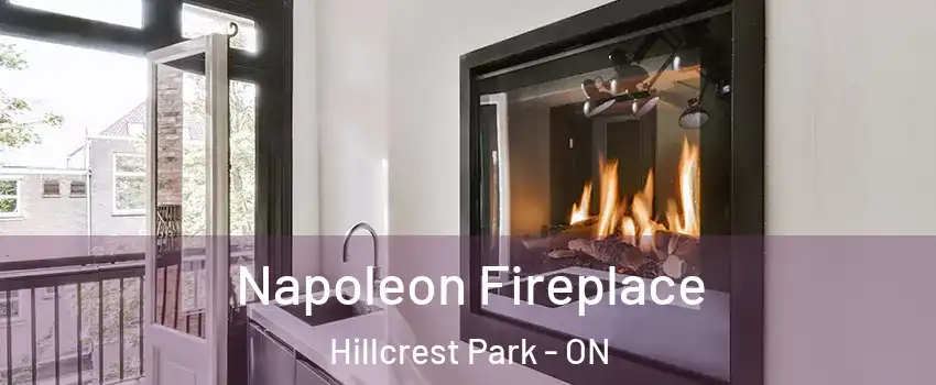  Napoleon Fireplace Hillcrest Park - ON