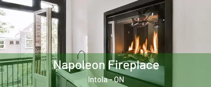  Napoleon Fireplace Intola - ON