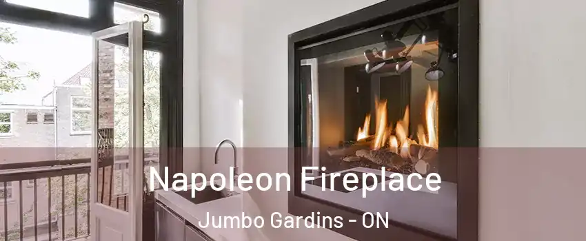  Napoleon Fireplace Jumbo Gardins - ON