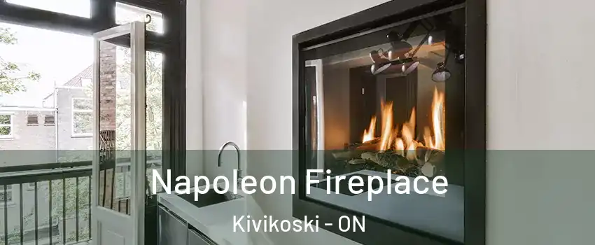  Napoleon Fireplace Kivikoski - ON