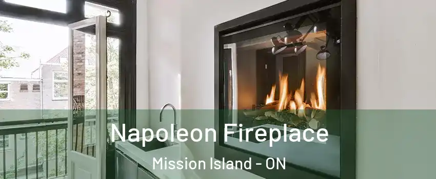  Napoleon Fireplace Mission Island - ON