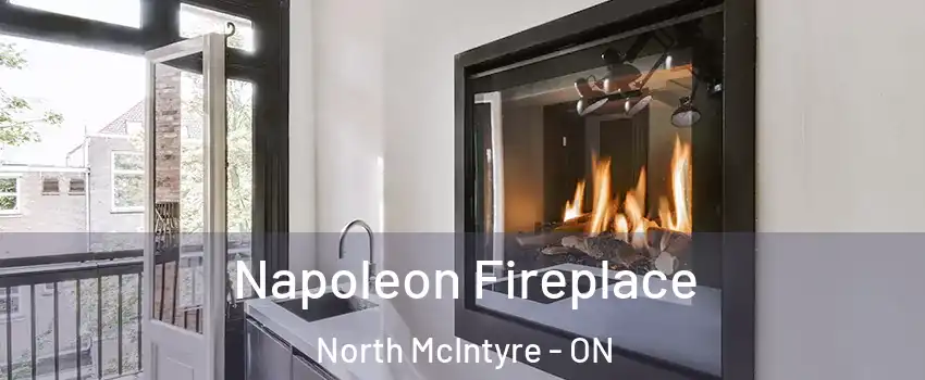  Napoleon Fireplace North McIntyre - ON