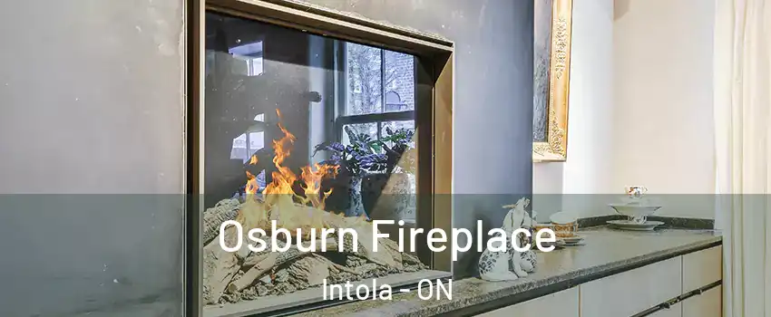  Osburn Fireplace Intola - ON