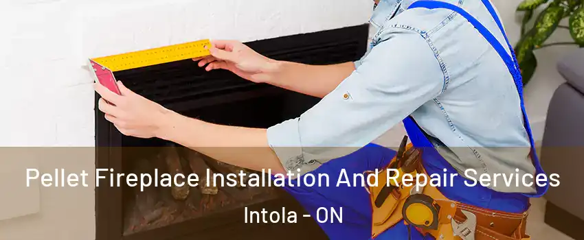  Pellet Fireplace Installation And Repair Services Intola - ON