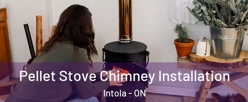  Pellet Stove Chimney Installation Intola - ON