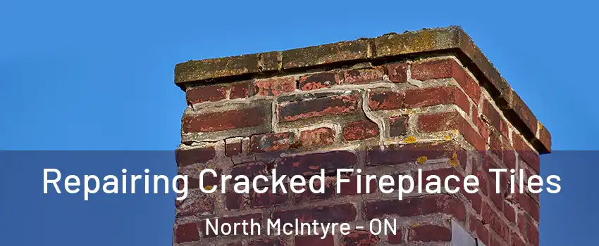  Repairing Cracked Fireplace Tiles North McIntyre - ON