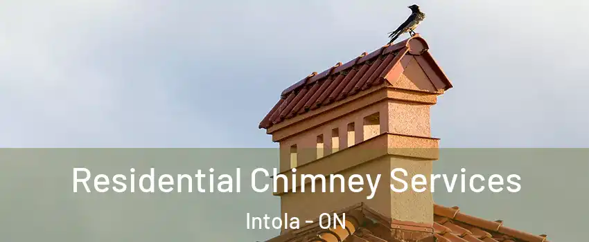  Residential Chimney Services Intola - ON
