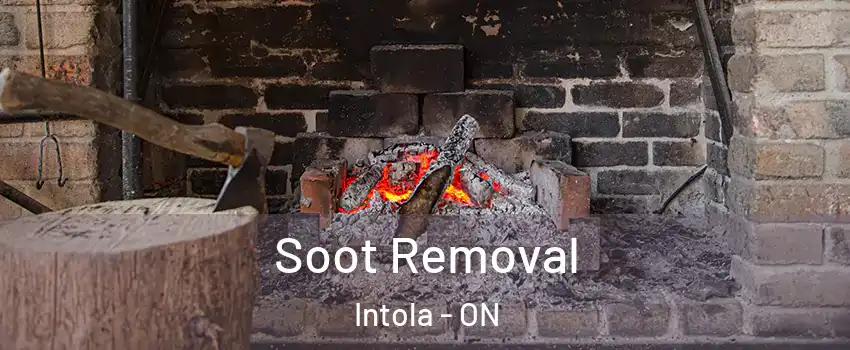  Soot Removal Intola - ON