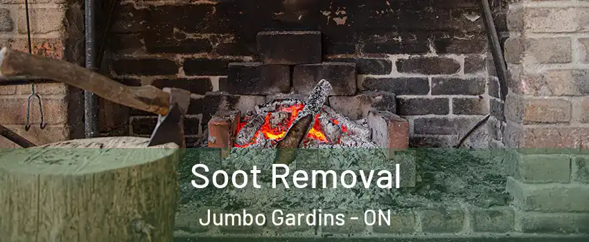  Soot Removal Jumbo Gardins - ON