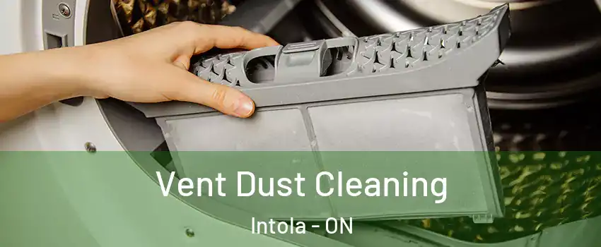  Vent Dust Cleaning Intola - ON