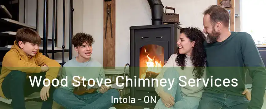  Wood Stove Chimney Services Intola - ON