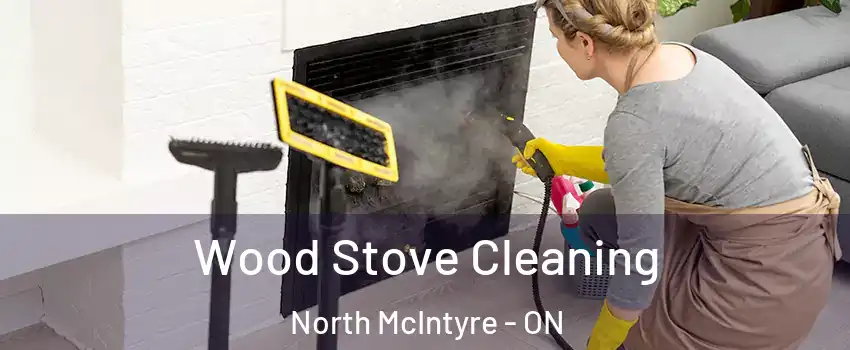  Wood Stove Cleaning North McIntyre - ON