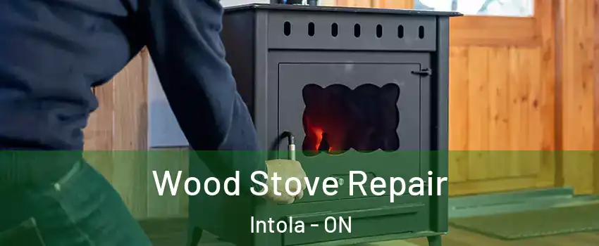  Wood Stove Repair Intola - ON